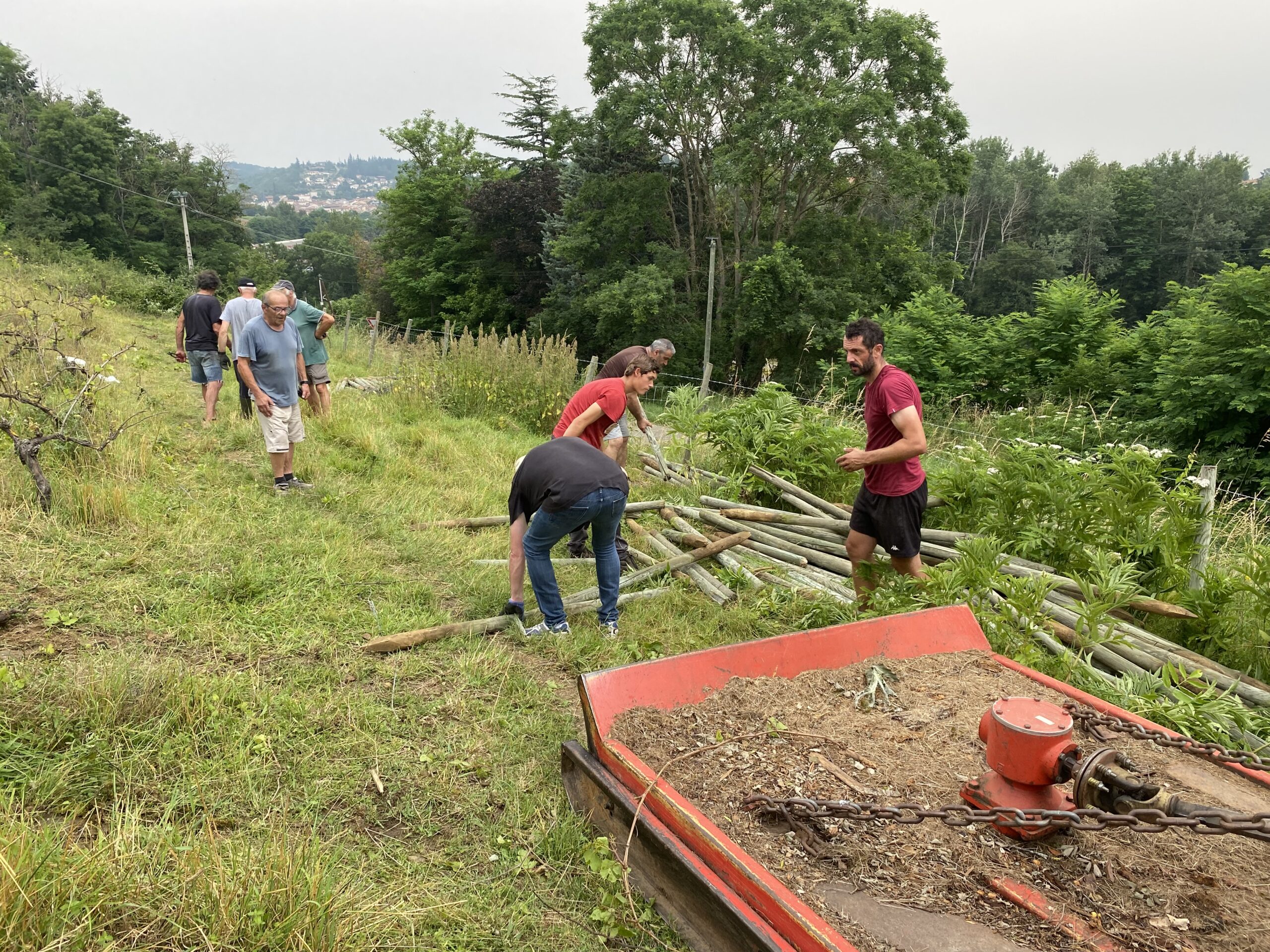 VAUD A OUVERT UN GUICHET POUR ANTICIPER L ARRACHAGE DE LA VIGNE visual data 3